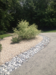 photo-gallery_IMG_0324_2017-03-22_110903.jpg - Thumb Gallery Image of Paving Services in Lenox MA